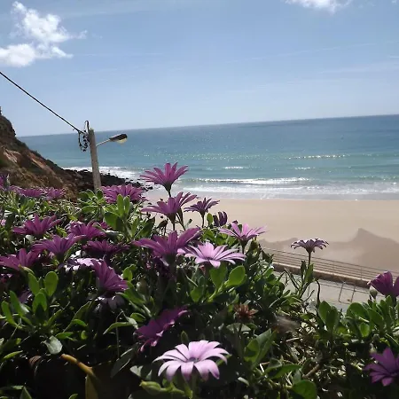 Ocean View *
